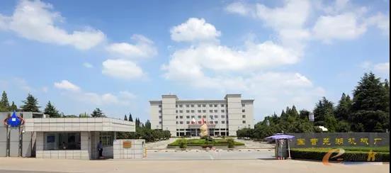 蕪湖 最強大腦 到底有多強