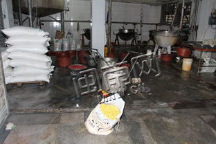 晉江突擊3家食品 黑工廠 一廠查出無證食品近3噸