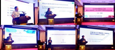 2019海峽兩岸科技專家論壇分會(huì)場(chǎng) 海峽兩岸食品健康研討會(huì)在廈門順利召開(kāi)