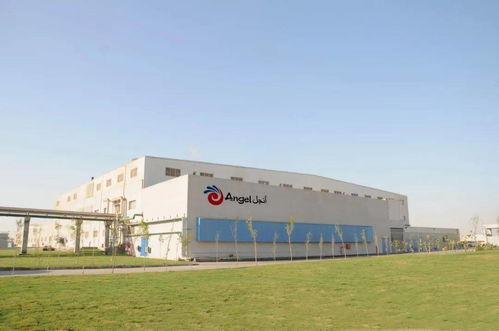 展商推介丨安琪 自然醇厚 鮮味升級(jí)