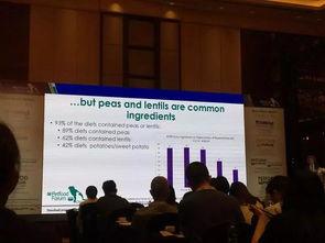 中國寵物食品論壇2019,討論了什么