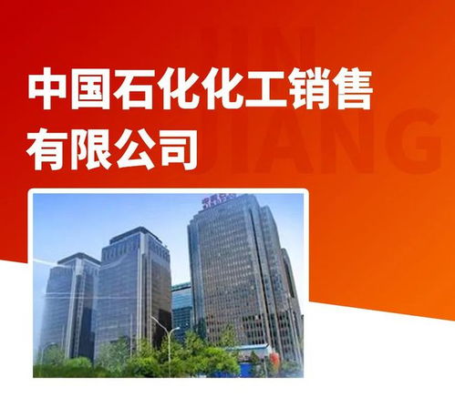 一把手 招商 晉江密集對(duì)接大項(xiàng)目