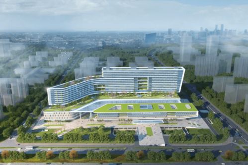 世界再大 總要回家