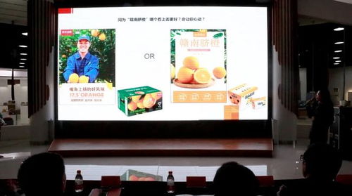 千乘杯 博興縣首屆電商產(chǎn)品包裝創(chuàng)意設(shè)計(jì)大賽頒獎(jiǎng)典禮舉行