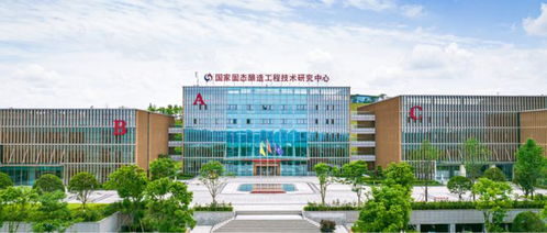 榮耀再出發(fā),瀘州老窖1952堅(jiān)守濃香自信,續(xù)寫(xiě)中國(guó)名酒榮光