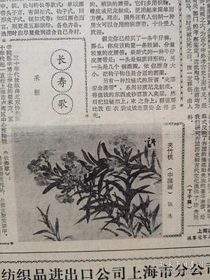 文匯報(bào)1985年7月13日我國(guó)將建博士后科研流動(dòng)站,晉江假藥案的前前后后引出教訓(xùn),上海建立上海師范專科學(xué)校和上海幼兒師范專科學(xué)校,司徒達(dá)宏獨(dú)奏音樂(lè)會(huì),上海中藥一廠人參蜂皇漿生產(chǎn)照片,虹口東興菜館 丁世華照片,陶瓷工藝美術(shù)師陳榮明側(cè)記附照片及照片,上海港水上消防史話,張溪國(guó)畫《夾竹桃郭德潔女士之死,》