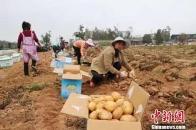 【觀點(diǎn)交鋒】竟有高校成立“龍蝦學(xué)院”!網(wǎng)友:我能一口氣念到博士后